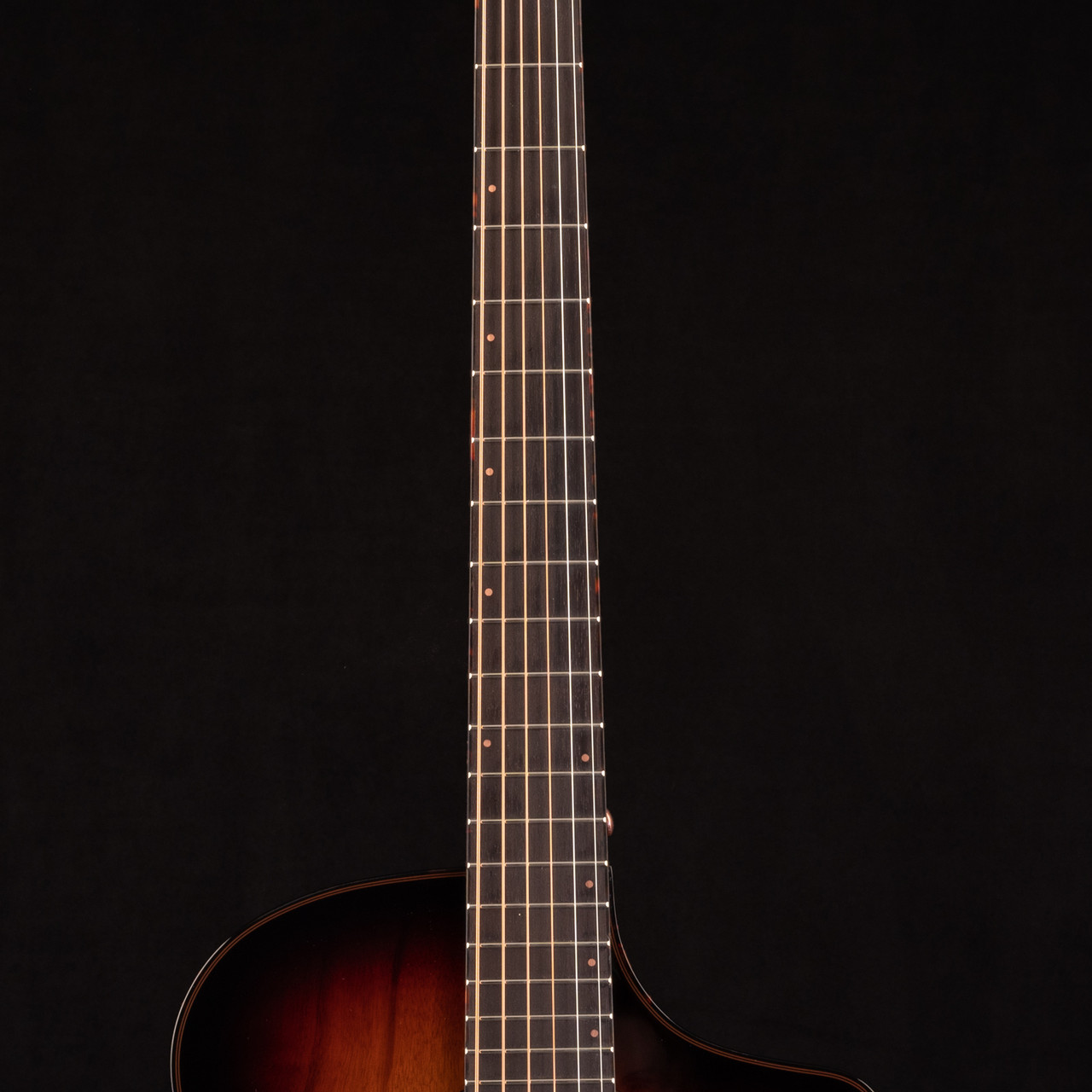 breedlove pursuit concert