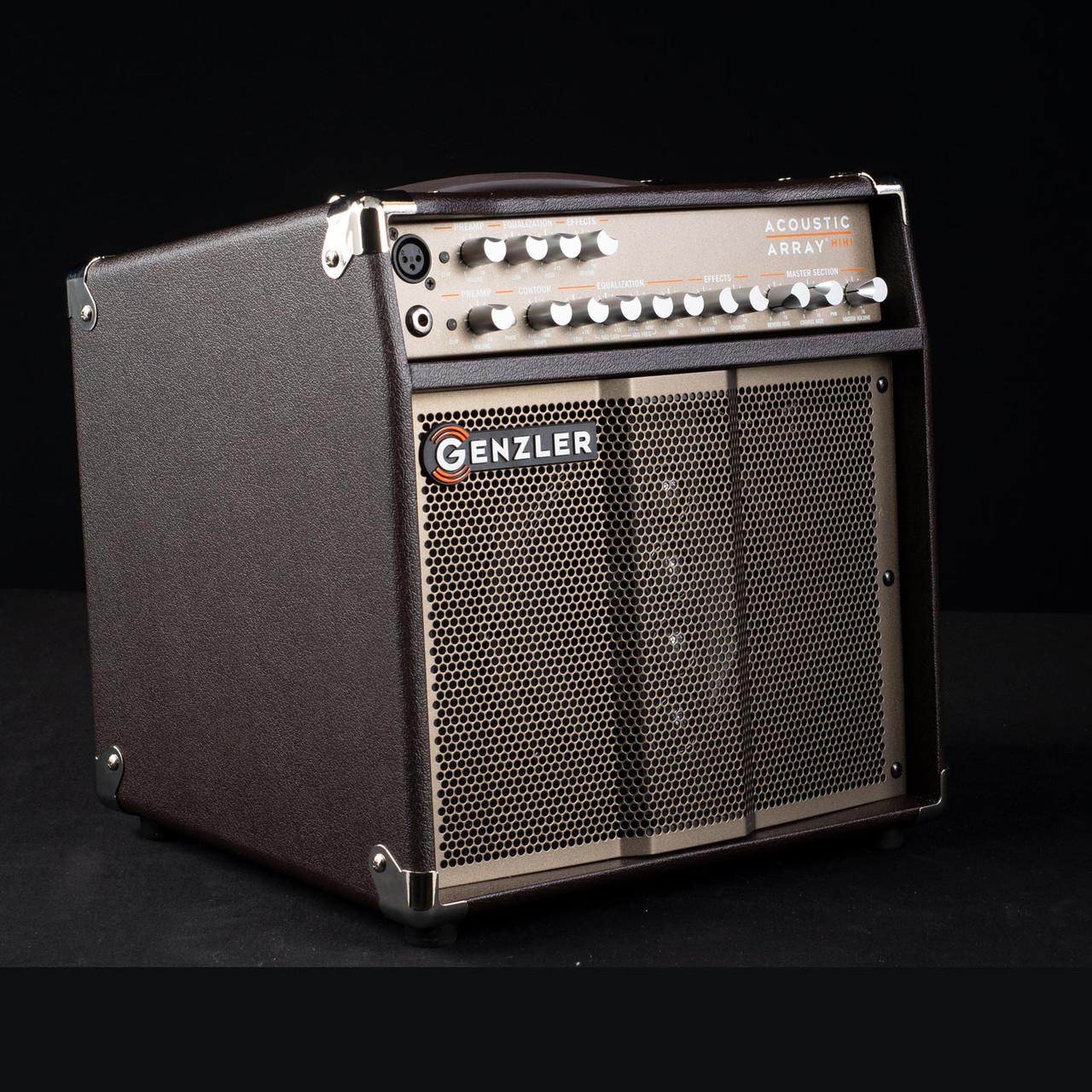 Genzler Amplification Acoustic Array Mini 100w 0010 at Moore Guitars