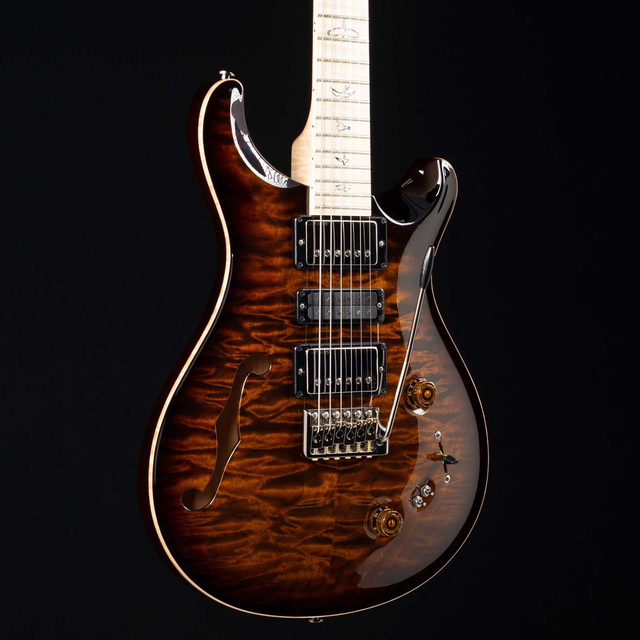 PRS-SPECIAL-22-WL-10-SEMI-HOLLOW-BLK-GOLD-BURST-WNAT-BINDING---281979-angle-left__29174.1570221196.jpg