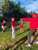 4 Pack Baseball Lessons