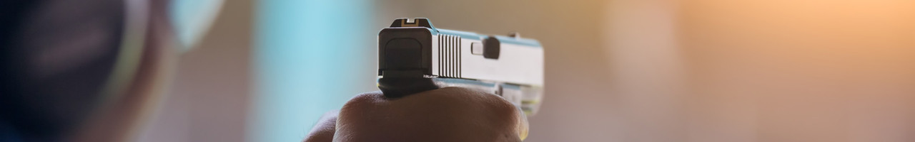 Gun Sights