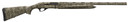 RETAY W251XTBL-24 12/24 3IN INERTIA N-BOTTOMLAND