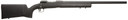 Savage Arms 10 FCP HS Precision Rifle | 18139