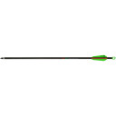 TenPoint Pro-V 22 Alpha-Brite Lighted Arrows 22 in Green 3 pk HEA-5683