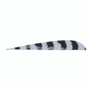 Trueflight Parabolic Feathers Barred Grey 4 in LW 100 pk 1531