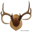 Walnut Hollow Antler Mounting Kit Solid Oak 38324