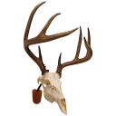 Walnut Hollow Euro Skull Mount Kit 41852