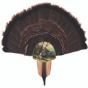 Walnut Hollow Turkey Display Kit Spring Strut 40738