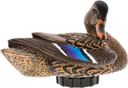 Avian AVX-PSH-MHPR