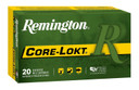 Remington R21307