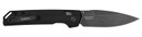 Kershaw 7038G10