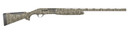 Retay C-ACEMBL-26