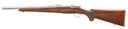 Ruger 67106