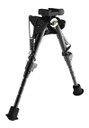 Caldwell 1237303