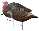 Primos 69064 Decoy