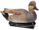 Avian AVX-PSW-GDSW
