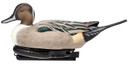 Avian AVX-PSW-PNSW