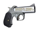 Bond Arms BACY-250TH-45-70