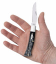 Case 65034