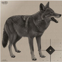 INFRARED-ID COYOTENZERO