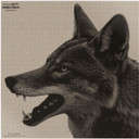 INFRARED-ID RCOYOTEHD1