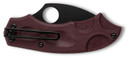 Spyderco C64BGBKP