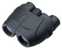 Leupold 59225 BX-1 Rogue Compact Binoculars
