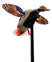 Mojo Decoys HW2470 Decoy