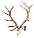 Skullhooker SKHBHASSYBLK Big Hooker Large/XL European Game Steel Graphite Black