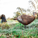 Primos 69070 Photoform Leading Hen Turkey, Lightweight/Flexible/Collapsible Foam, Life Like Head Detail Decoy