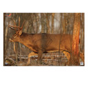Birchwood Casey 37481