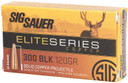 Sig Sauer E3006H120