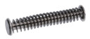 Rival Arms RARA50A201T Guide Rod Assembly Tungsten for Springfield Hellcat, *Worn
