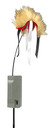 Foxpro XDECOY
