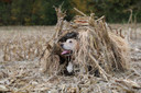 MOmarsh 31323 Invisi-Grass Natural 1.25 lb Bundle Blind
