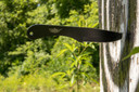 Uzi Accessories UZKTRW004 Throwing Knives IV Three, 8.25 in Plain Black Stainless Steel