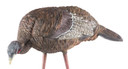 Avian X AVXAVX8007 LCD Feeder Hen Turkey Species Multi Color Dura-Rubber Decoy
