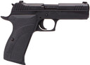 Sig Sauer 210CA9BSS