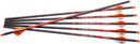 Ravin Crossbows R138 Arrows 400GR .003" 6 Pack