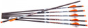 Ravin Crossbows R139 Arrows 400GR .001" 6 Pack