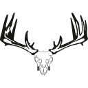 Raxx Crossbow Hanger Whitetail Skull xxx