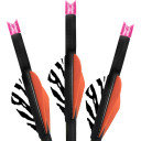 Lumenok Crossbow Bolts 22 in Pink Moon 3 pk. BECC223P