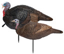 Primos 69075 Lil Gobblestopper Jake & Hen Combo Turkey Species Multi Color Decoy