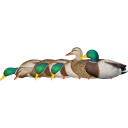 AvianX AXP Fusion Duck Decoys Mallards 6 pk. AVX-AVX8061