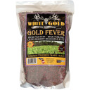 White Gold Gold Fever Seed 4 lb. WGGF