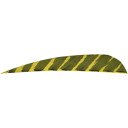 Gateway Barred Feathers Yellow 4 in. RW 50 pk. 400RPBYL-50