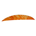 Gateway Magnum Feathers Tre White/Orange 5.5 in. RW 50 pk. 512RMTWO-50