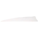 Gateway Shield Cut Feathers White 4 in. RW 100 Pk. 400RSSFW-100