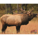 DuraMesh Archery Target Elk 1 25 in. x 32 in. DM206