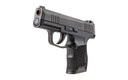 Sig Sauer P365 365-380-BSS, Striker Fired, Semi-automatic, Polymer Frame Pistol, Sub-Compact, 380 ACP